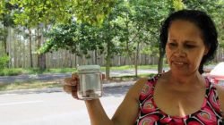 Dona de casa encontrou escorpiões em casa. Ela reside defronte ao Horto Florestal