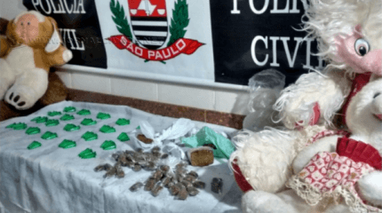 Os entorpecentes foram encontrados dentro de ursos de pelúcia