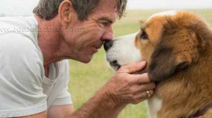 O filme americano é estrelado pelo ator Dennis Quaid