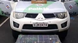 Três pássaros silvestres foram aprendidos na residência