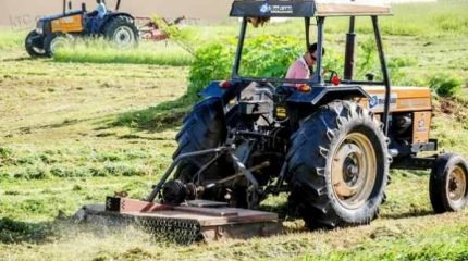 A Prefeitura fará o serviço e mandará a conta aos proprietários que não limparem os seus terrenos