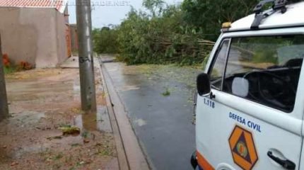 Após a forte chuva em Ajapi, a equipe da Defesa Civil de Rio Claro contabilizou os estragos registrados no distrito