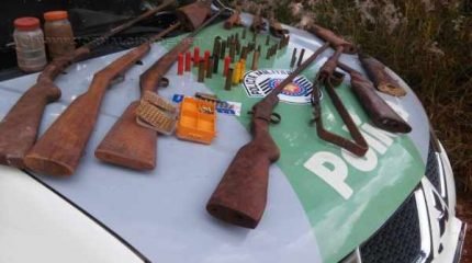 Armamento era utilizado para fins de caça na região rural. Cães estavam com sinais de maus-tratos