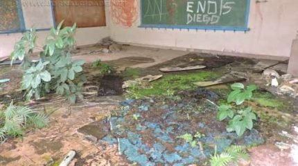 Além da limpeza, parlamentar solicita agilidade no processo da área destinada ao Centro Paula Souza