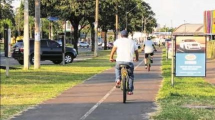 Prática de atividade física e passeio com os animais precisam ser realizados com atenção e com todos os cuidados necessários. A hidratação é fundamental, principalmente nos dias quentes
