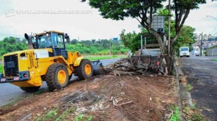 Foi encontrado pelas equipes de trabalho larvas do mosquito da dengue