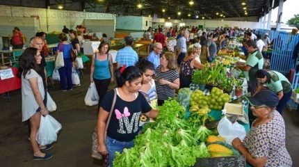 São 65 produtores que comercializam frutas, verduras, pães, queijos, temperos, entre outros itens