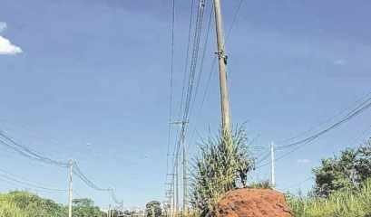 De acordo com a Elektro, responsável pela remoção dos postes, os serviços já estão sendo feitos