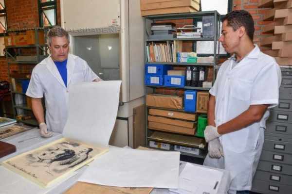 Arquivo Municipal mantém laboratório para recuperação de documentos, fotos, desenhos e livros do acervo público