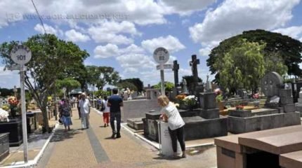 Dedetização faz parte da manutenção de rotina para evitar a proliferação de insetos, especialmente baratas que se alastram rapidamente