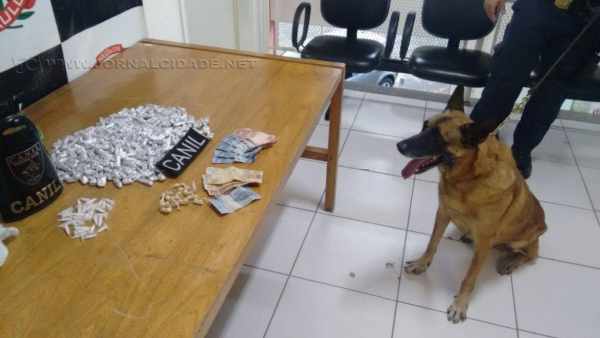 Operação conjunta Polícia Civil e Guarda Civil Municipal detém traficantes de entorpecentes e procurado pela Justiça