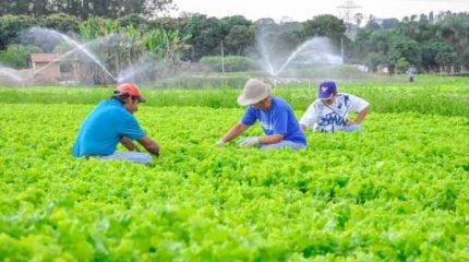 Proprietários e posseiros devem fazer o Cadastro Ambiental Rural (CAR) obrigatório sob risco de penalização com multa. ​ Serviço está sendo oferecido gratuitamente.
