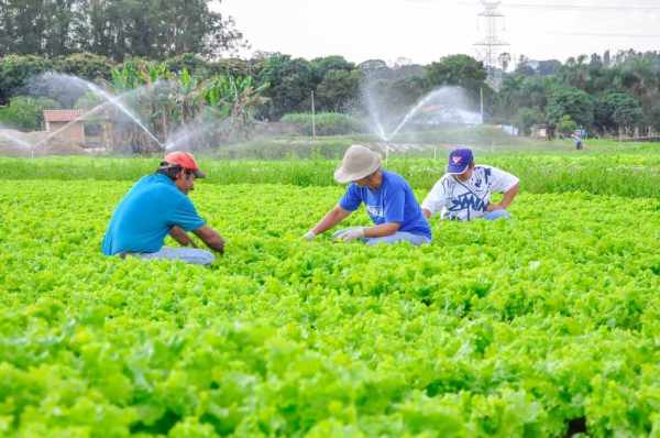 Proprietários e posseiros devem fazer o Cadastro Ambiental Rural (CAR) obrigatório sob risco de penalização com multa. ​ Serviço está sendo oferecido gratuitamente.