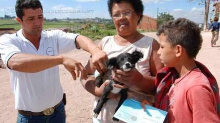 Ação do Centro de Controle de Zoonoses começou pela área rural, em Itapé. Cães e gatos a partir de cinco meses devem ser vacinados contra raiva.