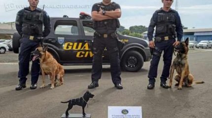 Em apenas um minuto e 43 segundos, o cão de faro Áthila localizou os entorpecentes e estabeleceu um novo recorde na competição.