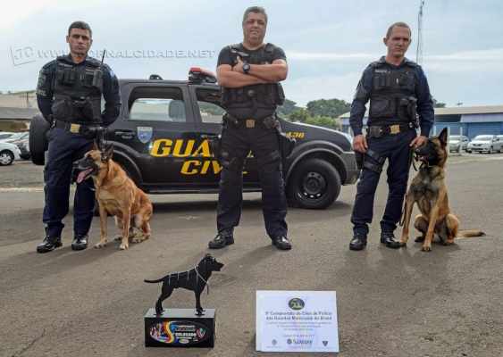 Em apenas um minuto e 43 segundos, o cão de faro Áthila localizou os entorpecentes e estabeleceu um novo recorde na competição.