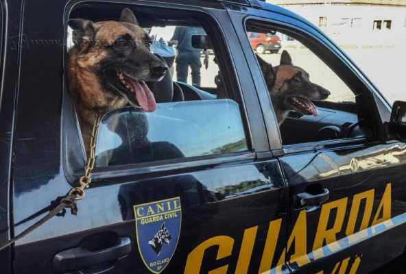 Adoção segue escala de prioridade, primeiro membros do canil, seguido por guardas municipais e comunidade.