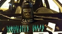 Equipe Canil da Guarda Civil Municipal de Rio Claro apresenta adolescente com entorpecentes