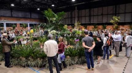 Até este domingo (18) cerca de 2.500 orquídeas poderão ser vistas gratuitamente no Colégio Claretiano.