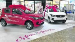 O regulamento e a lista das lojas participantes estão disponíveis no site do Shopping Rio Claro - www.shoppingrioclaro.com.br