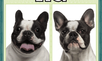 Confira algumas dicas e veja que é possível ficar com uma imagem agradável no documento; vale até o uso de piercing