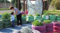 Espaço une educação ambiental e estímulo aos sentidos do corpo humano. Mais de 600 pessoas já visitaram gratuitamente o Jardim Sensorial dentro da Unesp