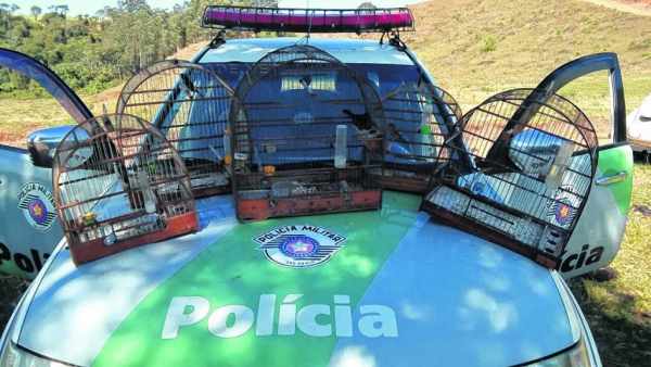 Ação policial aconteceu durante patrulhamento realizado na área rural, no bairro Santa Rita