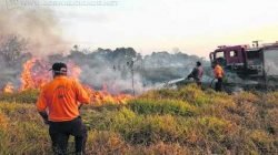 Equipes trabalharam arduamente durante quatro horas seguidas para combater as chamas; área de quatro alqueires foi queimada