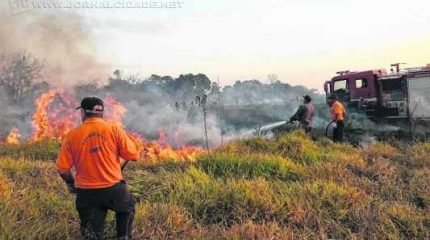 Equipes trabalharam arduamente durante quatro horas seguidas para combater as chamas; área de quatro alqueires foi queimada