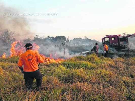 Equipes trabalharam arduamente durante quatro horas seguidas para combater as chamas; área de quatro alqueires foi queimada