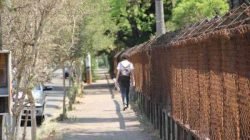 Apesar de estudantes relatarem variados crimes na região da Unesp, PM reforça pedido para que jovens registrem o boletim de ocorrência