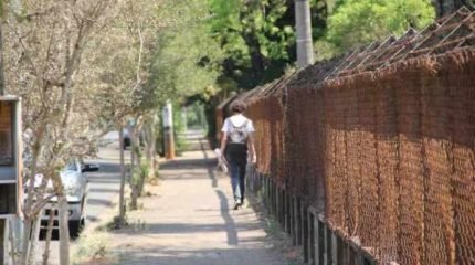 Apesar de estudantes relatarem variados crimes na região da Unesp, PM reforça pedido para que jovens registrem o boletim de ocorrência