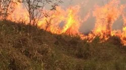As equipes foram ao local pelo menos três vezes, só então as chamas foram controladas