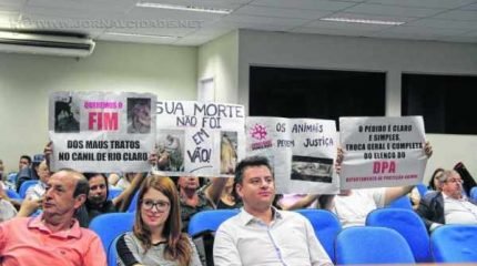 Protetores de animais marcam presença novamente na sessão da Câmara, cobrando ação sobre supostos maus-tratos no Canil