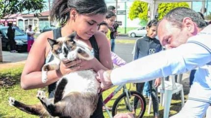 Vacinação é única forma de proteger animais contra a raiva, doença fatal na maioria dos casos e que pode ser transmitida ao homem
