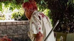 Idoso foi agredido com pancada na cabeça antes de ser assaltado dentro do Cemitério Municipal "São João Batista", neste feriado (12)