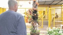 Alex - nome fictício, está na Fundação Casa há três meses e, segundo a administração, pode ficar no local até três anos, mas a medida é revista há tempos pela Justiça; jovem participa de aulas todos os dias