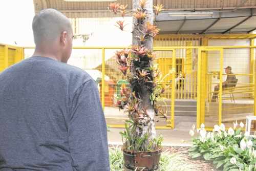 Alex - nome fictício, está na Fundação Casa há três meses e, segundo a administração, pode ficar no local até três anos, mas a medida é revista há tempos pela Justiça; jovem participa de aulas todos os dias