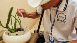 Rio Claro registrou 31 casos de dengue nesta semana