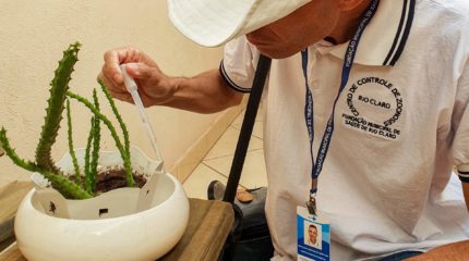Rio Claro registrou 31 casos de dengue nesta semana