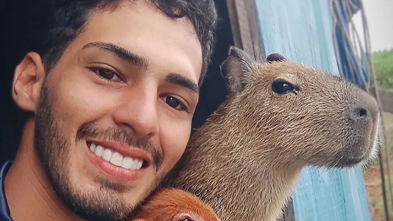 'Pai da capivara' Filó viraliza nas redes sociais.