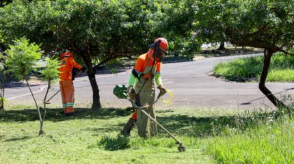 Limpeza e corte de matos são feitos em todas as regiões