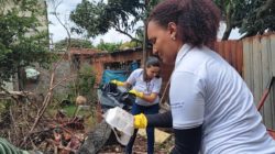 Mutirões contra a dengue em Rio Claro recolheram mais de 16 t de materiais