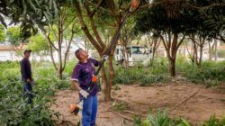 Praça no Jardim América recebe serviços de manutenção e limpeza