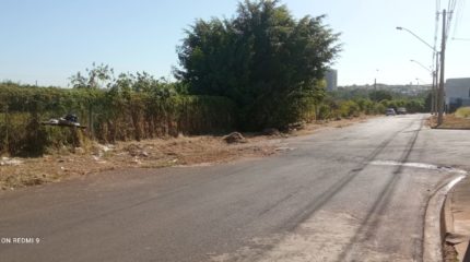 Após manutenção, mato e galhos preocupam moradores do Parque Flórida