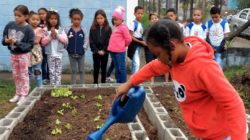 Rio Claro já tem 27 hortas em escolas