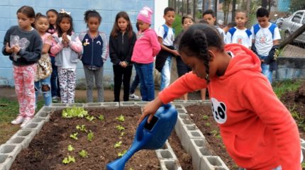 Rio Claro já tem 27 hortas em escolas