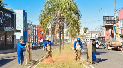 Prefeitura faz limpeza na Visconde e na Avenida dos Estudantes
