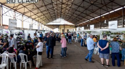 Rio Claro abre 23º Salão C. walkeriana na antiga estação ferroviária nesta 6ª-f