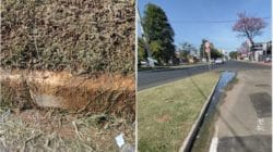 Empoçamento em canteiro na Rua 14 gera reclamação